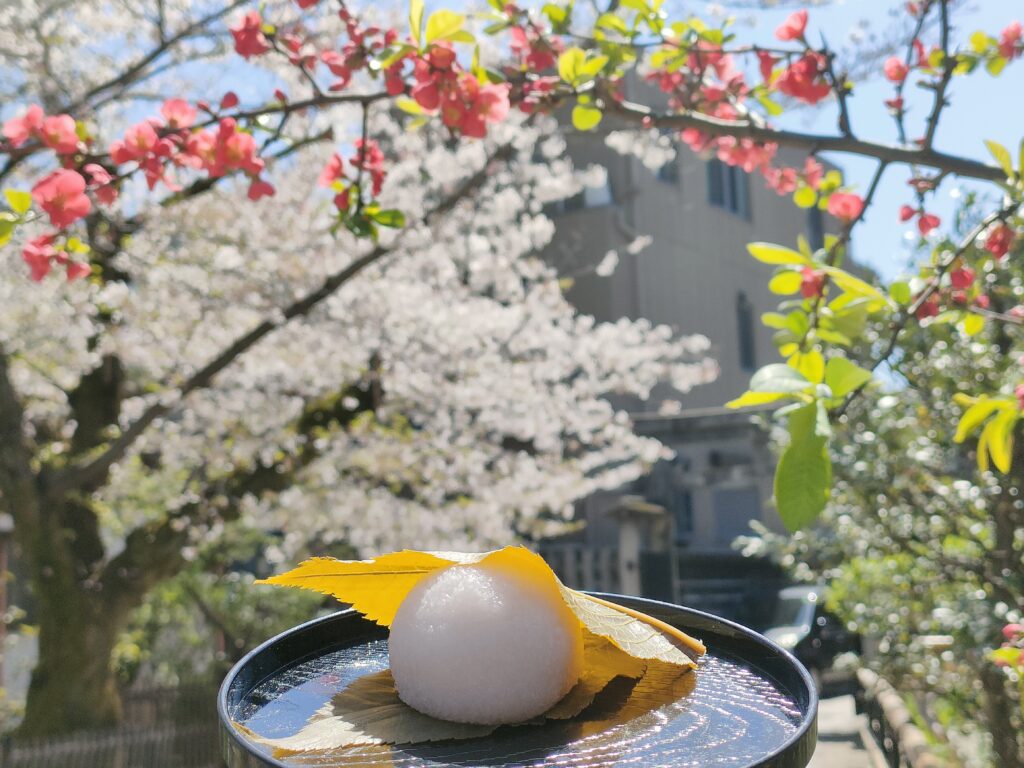 末富 これぞ京都の老舗 こだわりだらけの桜餅