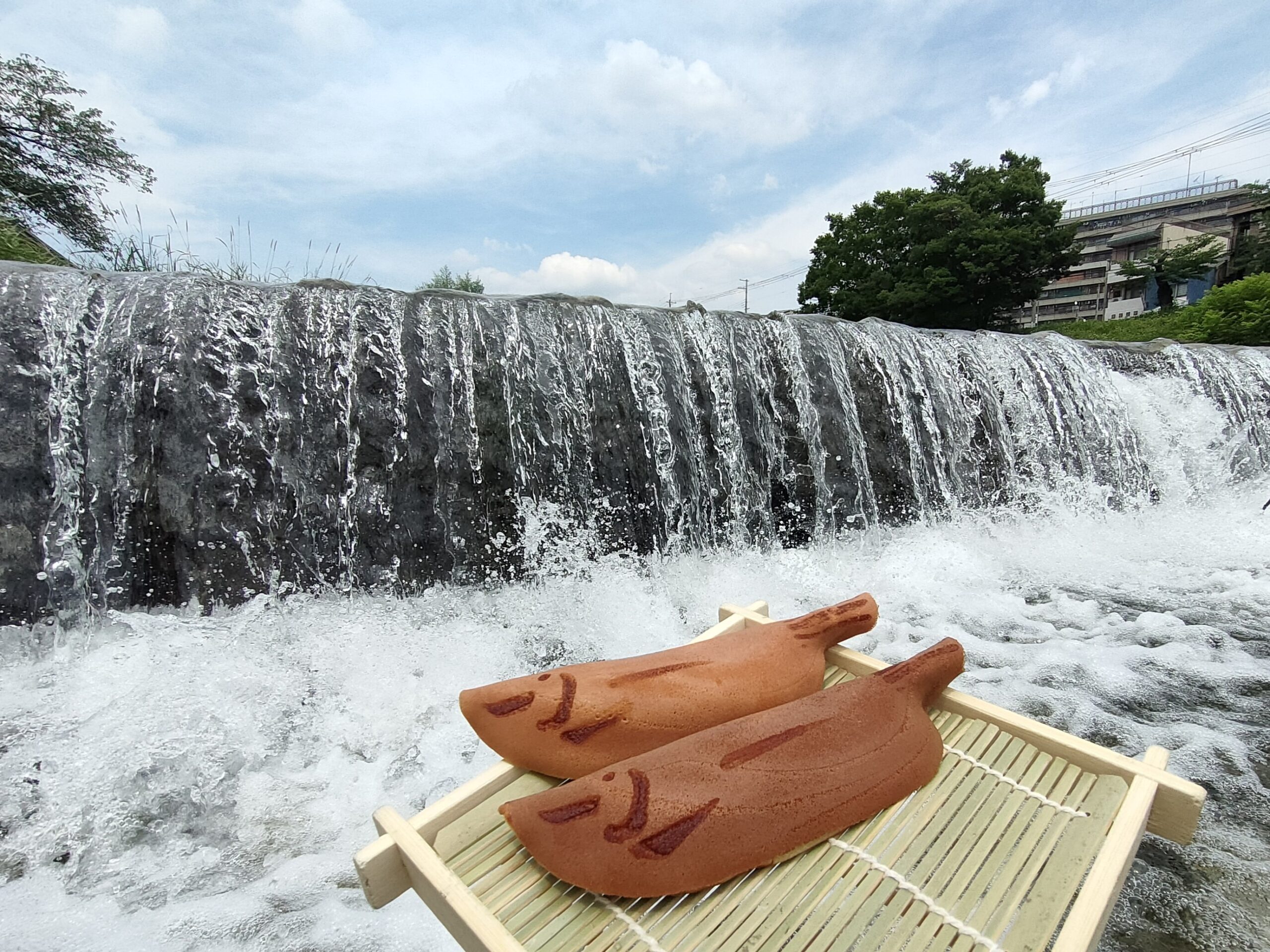 初夏に食べたい定番和菓子 若鮎の魅力 | japanese sweets.tokyo